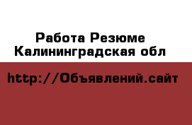 Работа Резюме. Калининградская обл.